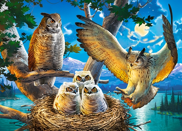 Puzzle 180 elemente