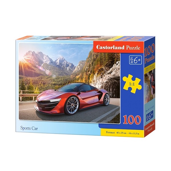 Puzzle 100 elemente