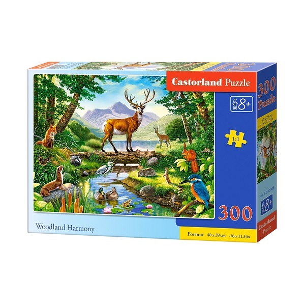 Puzzle 300 elemente..
