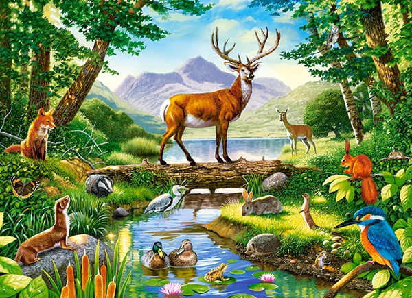 Puzzle 300 elemente