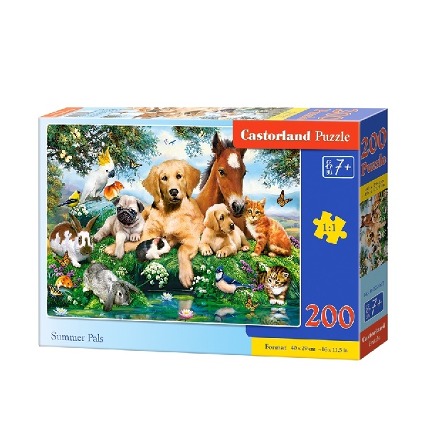 Puzzle 200 elemente