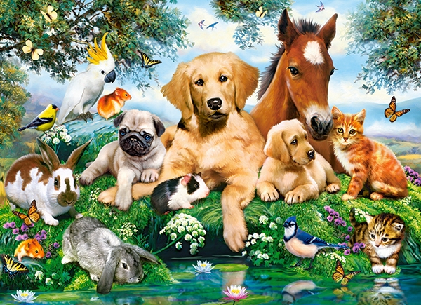Puzzle 200 elemente