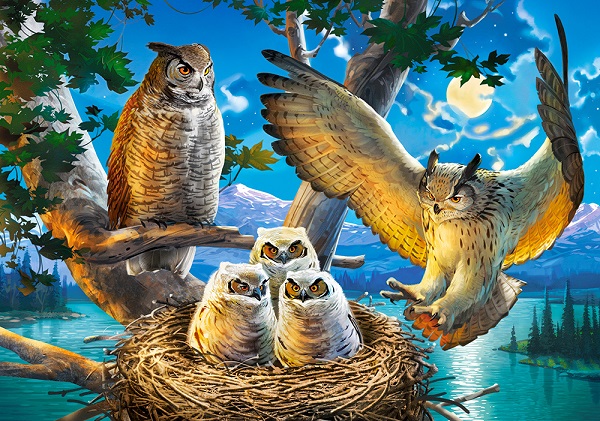 Puzzle 500 elemente