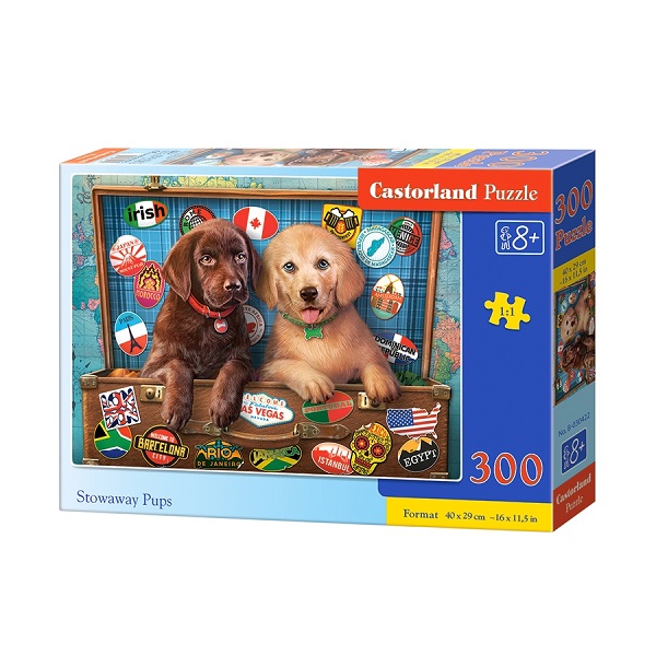 Puzzle 300 elemente