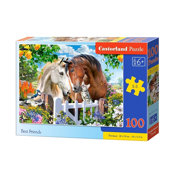 Puzzle 100 elemente