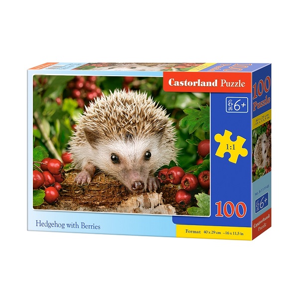 Puzzle 100 elemente