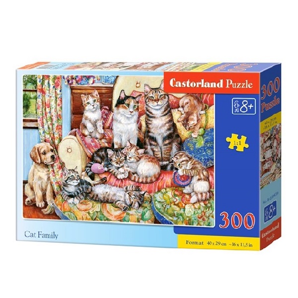 Puzzle 300 elemente