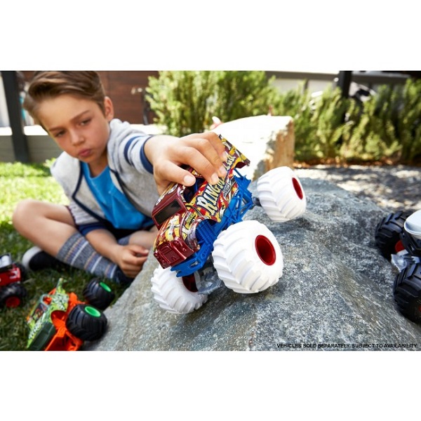 Monster Trucks 1:24 (as.)