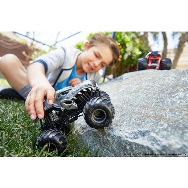 Monster Trucks 1:24 (as.)