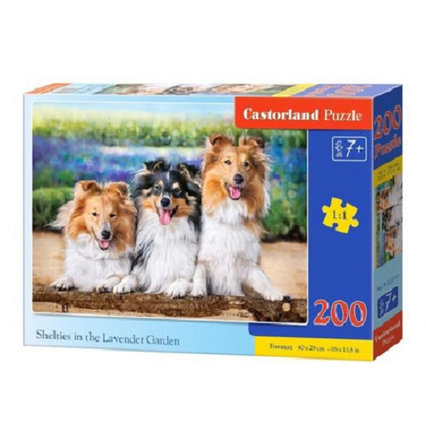 Puzzle 200 elemente