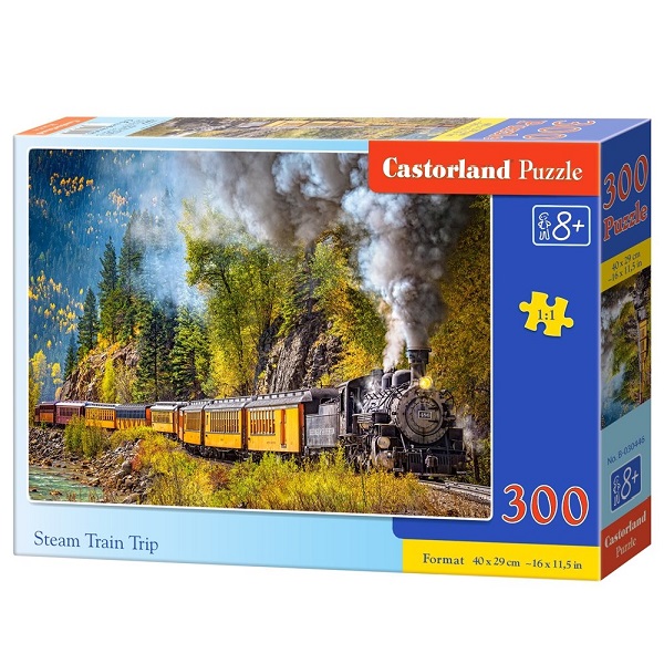 Puzzle 300 elemente