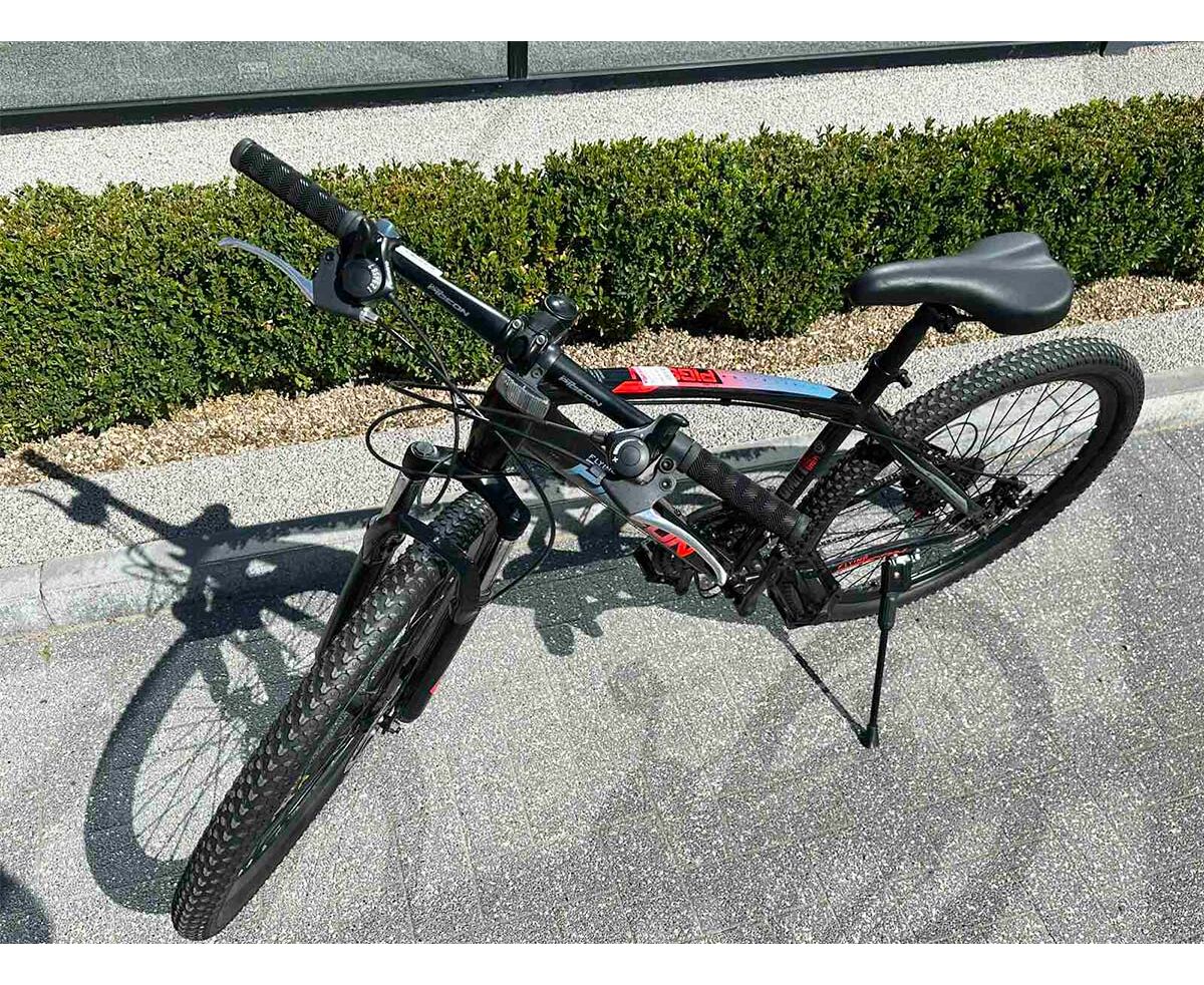 Bicicleta PIGEON 26