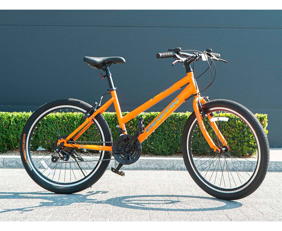 Bicicleta PIGEON 24