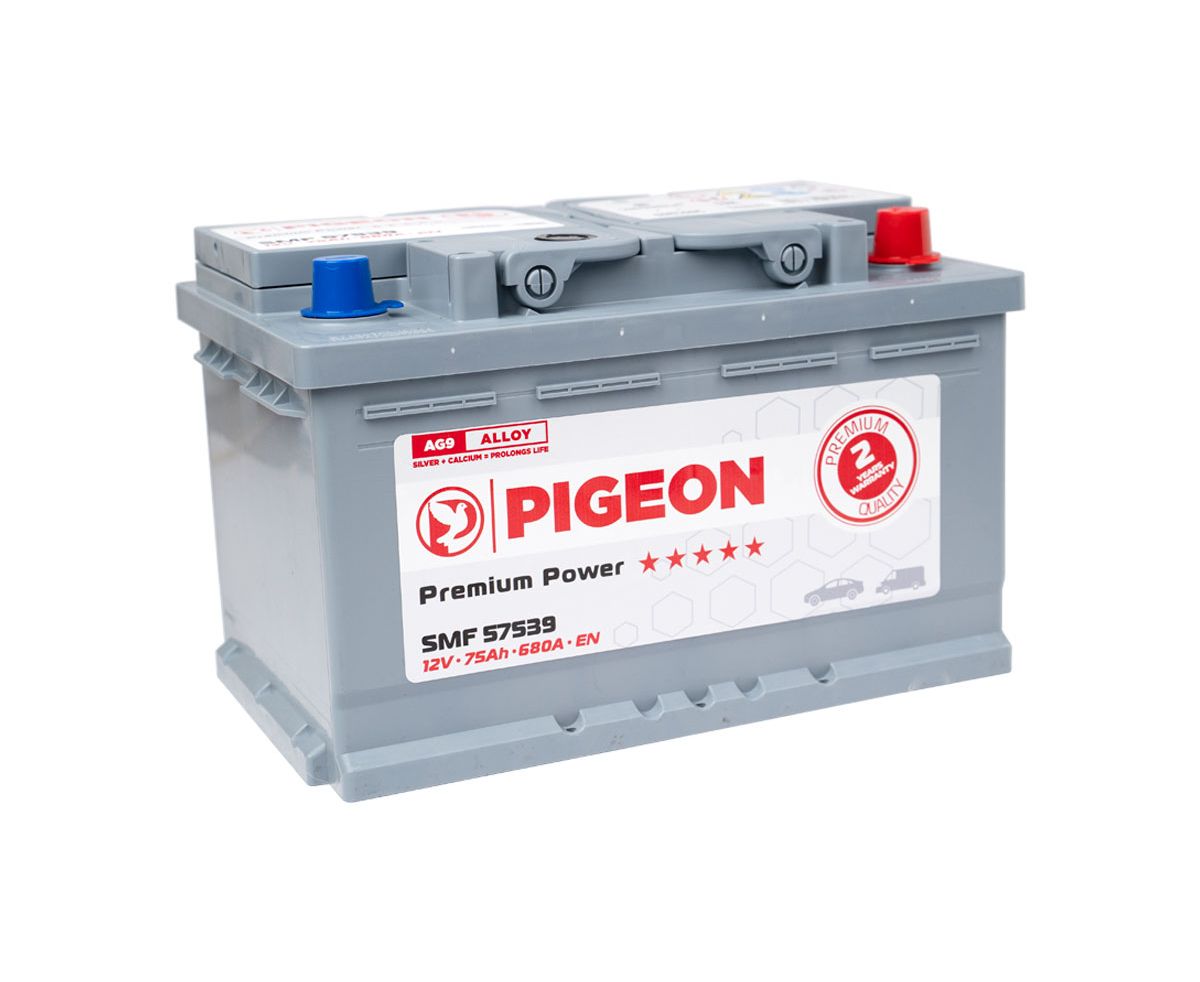 Cumpara  Acumulatoare - Аккумулятор PIGEON SMF 57539 12V 75Ah 680A..