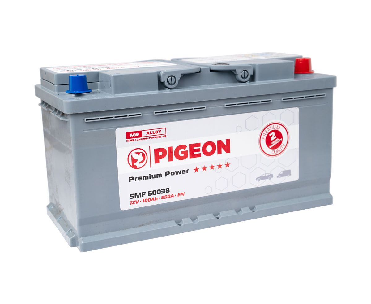 Cumpara  Acumulatoare - Аккумулятор PIGEON SMF 60038 12V 100Ah 850A..
