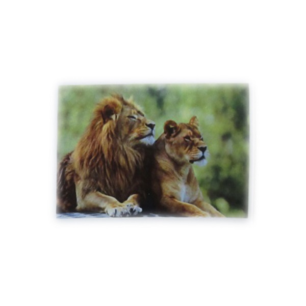 Семья леев (30*40)