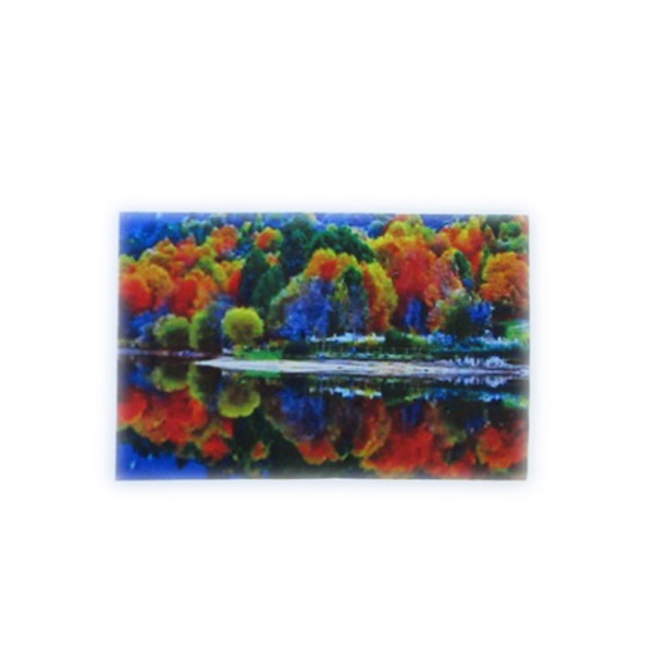 Cumpara  Picturi prin numere - Diamond mosaic Toamna  (50*65)..