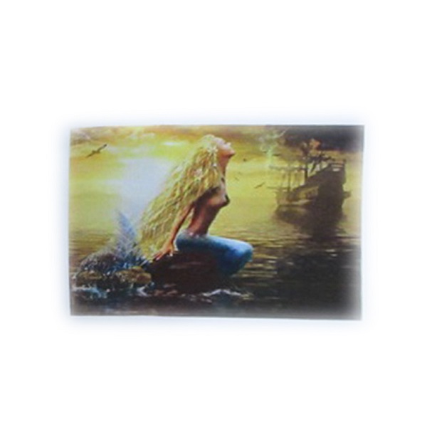 Алмазная мозаика Sirena (40*50)