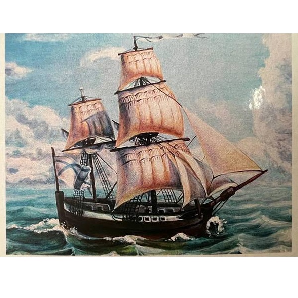 Алмазная мозаика Corabie (40*50)