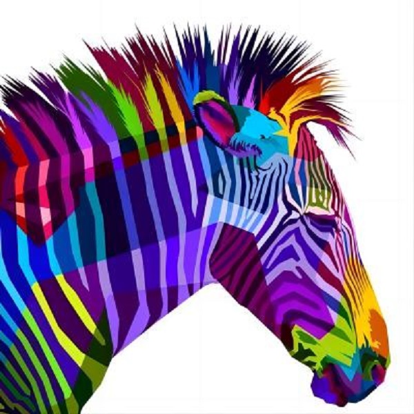 Cumpara  Picturi prin numere - Set pictam pe numere Zebra (30*40)..
