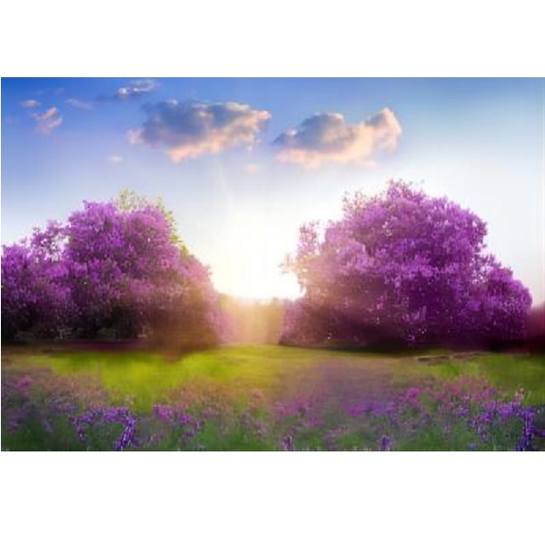 Cumpara  Picturi prin numere - Set pictam pe numere Natura (40*50)..