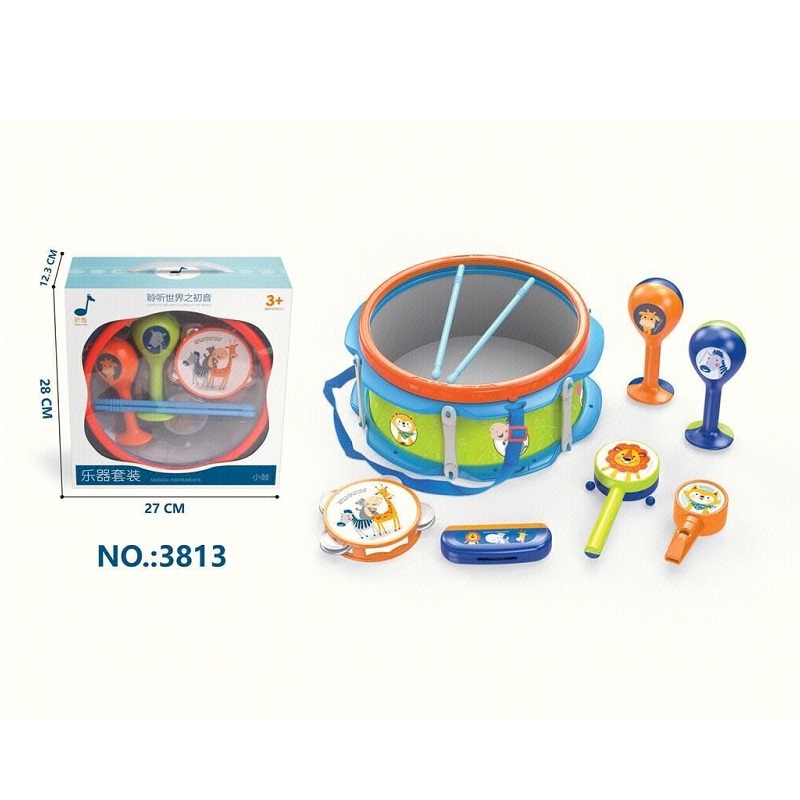 Set instrumente muzicale