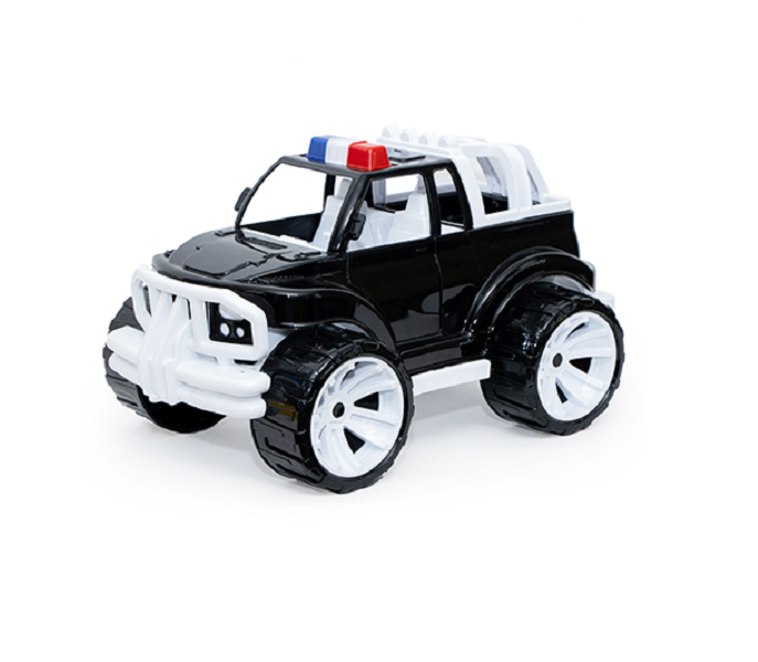 Masina politie