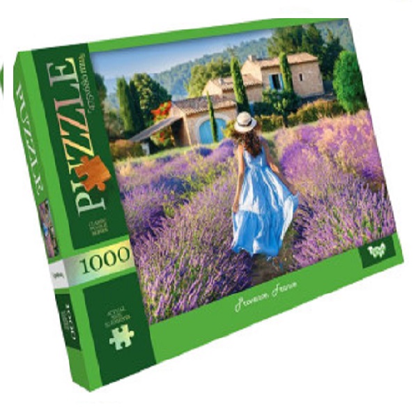 Puzzle C1000-12-01