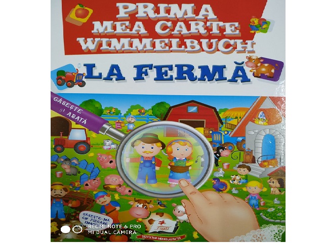 Моя первая книга: Виммельбук на ферме