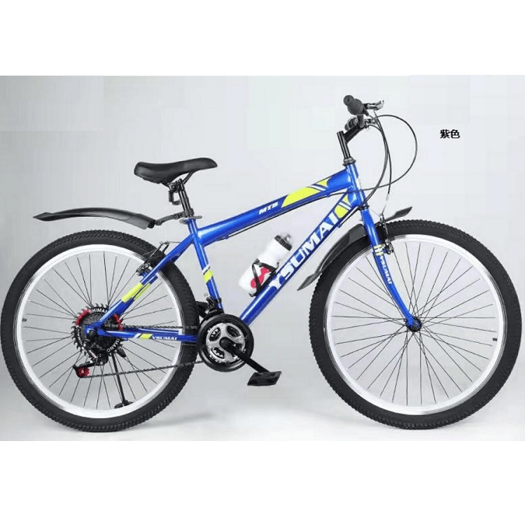 Bicicleta 24′
