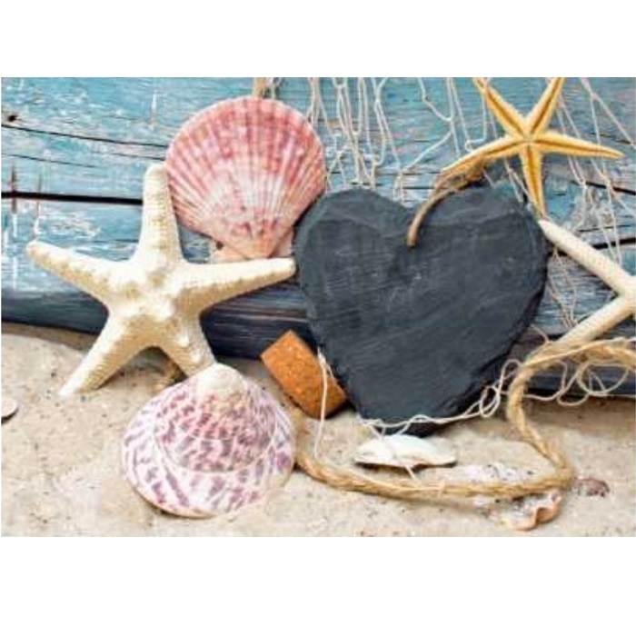 Бриллиантовая мозаика Ракушки (50*65)