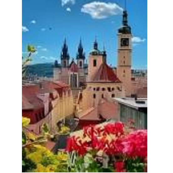 Алмазная мозаика Прага (50*65)
