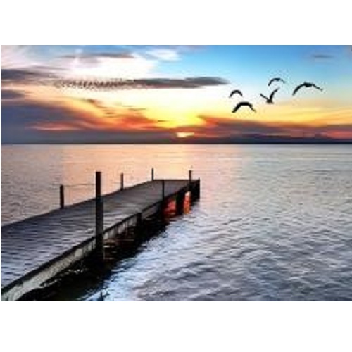 Алмазная мозаика Природа (50*65)