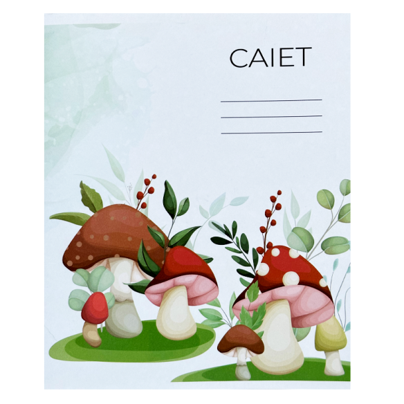 Caiet 12foi linie ingusta