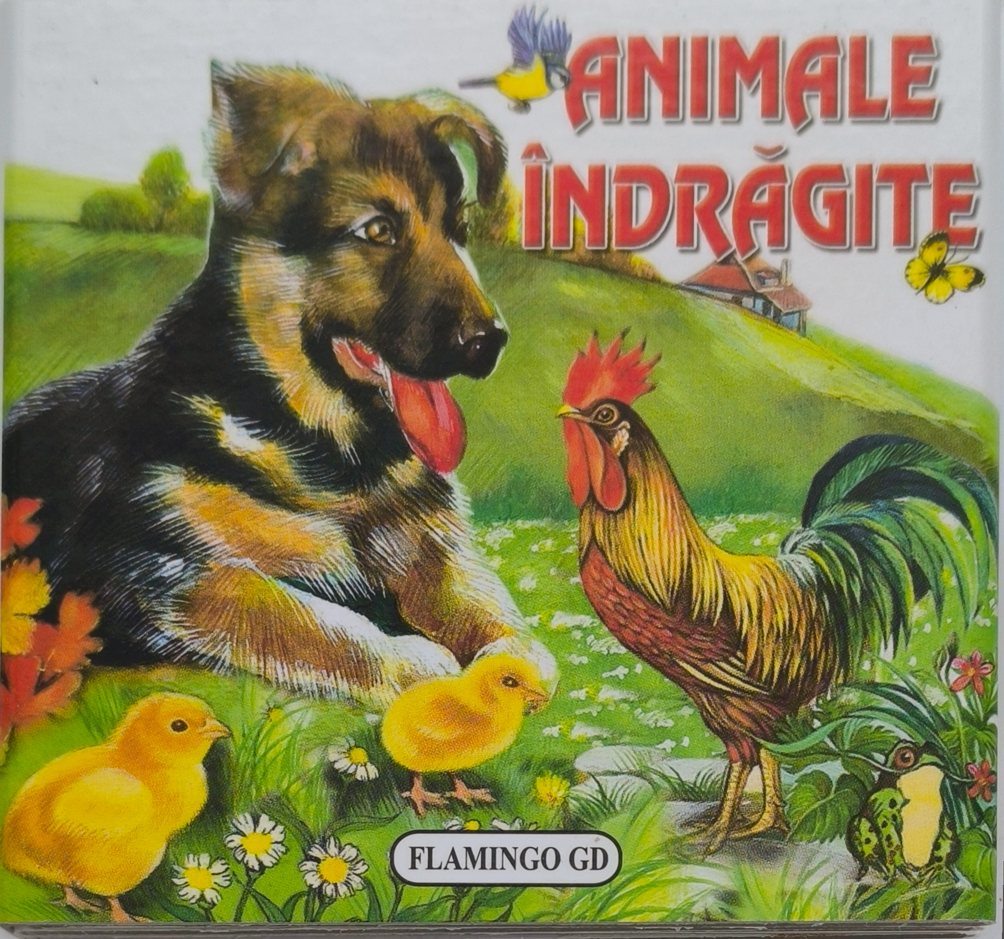 ANIMALE INDRAGITE