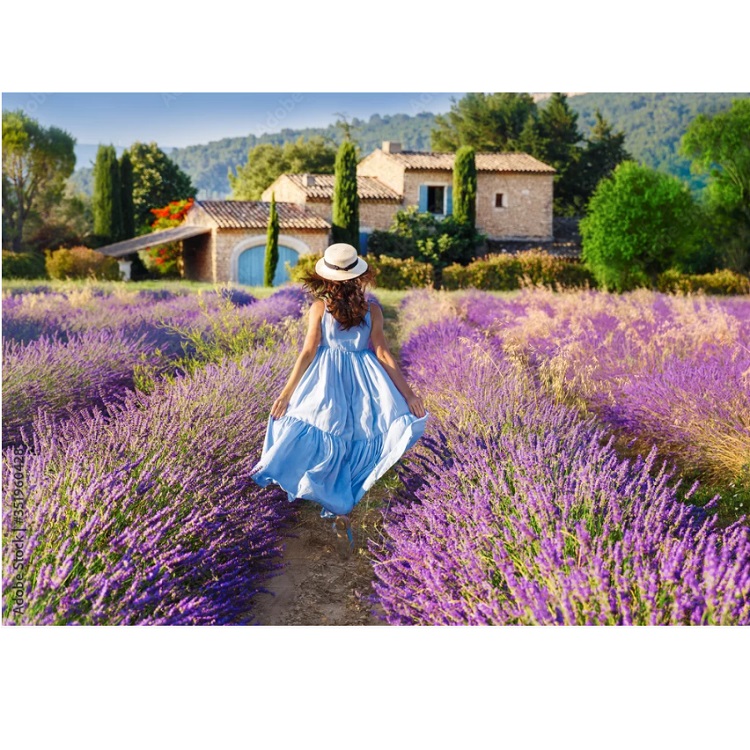 Set pictam pe numere Lavanda în Provence (30*40)