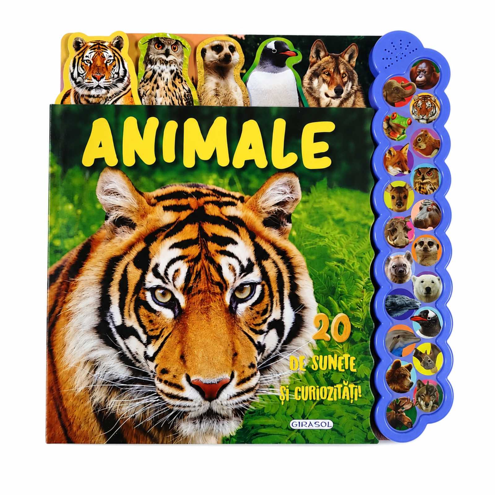 20 de sunete si curiozitati_Animale_Girasol