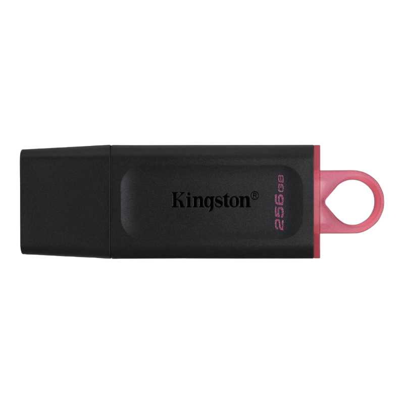 256GB  USB3.2 Flash Drive Kingston DataTravel..