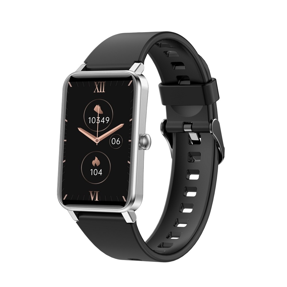 Smart Watch Globex Fit, Silver