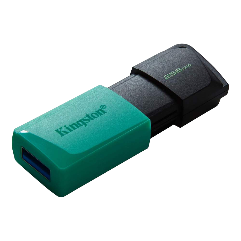 256GB USB3.2 Flash Drive Kingston DataTravele..