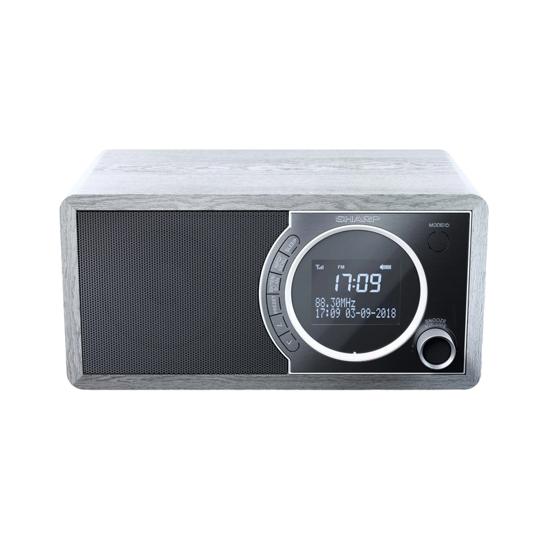 Sharp  DR-450GRV02, Portable Digital Radio