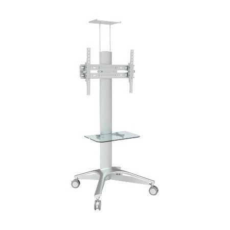 Cumpara  Suporturi de podea și cărucioare pentru monitoare - Mobile Stand for Displays  CHARMOUNT CT-FTVS-..