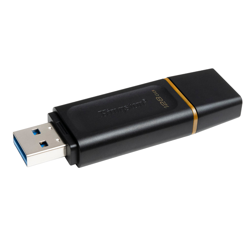 128GB  USB3.2 Flash Drive Kingston DataTravel..