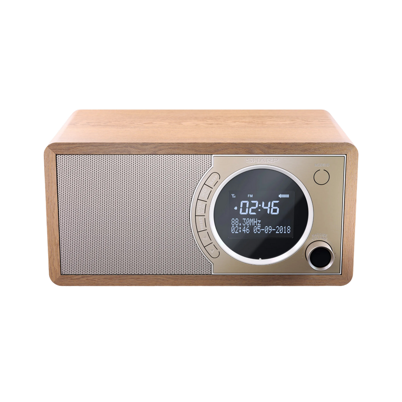 Sharp  DR-450BRV03, Portable Digital Radio