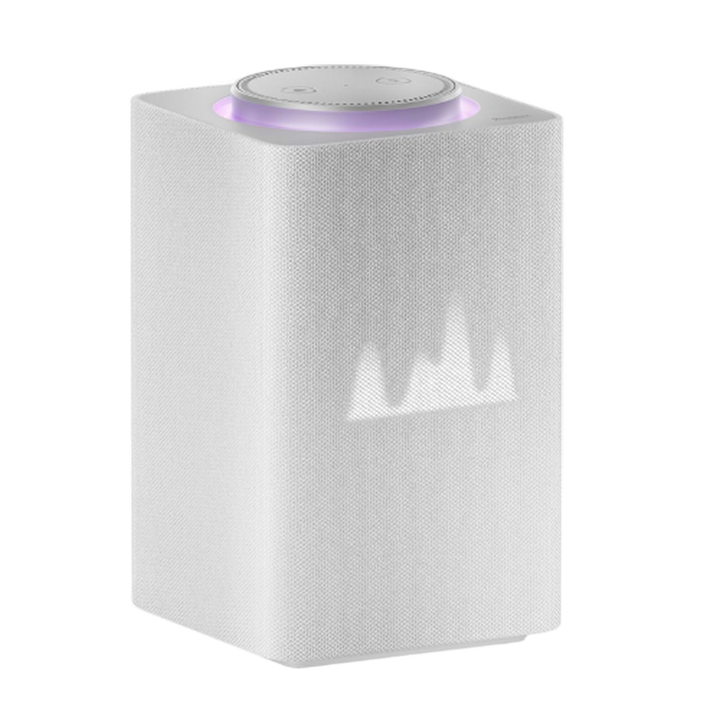 Yandex station MAX with ZIGBEE YNDX-00052W, Grey.