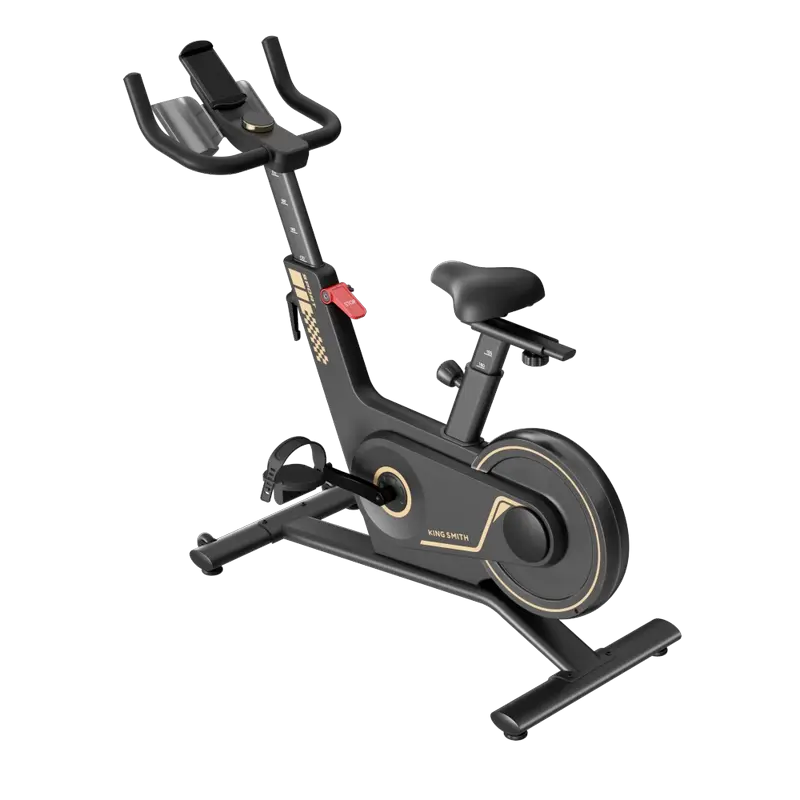 Bicicleta Spinning Kingsmith PB-08S, Negru