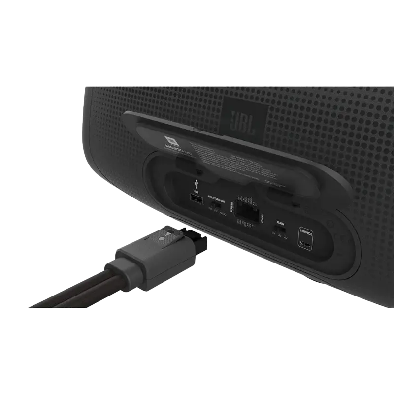 Boxă portabilă JBL BassPro Go, Negru
