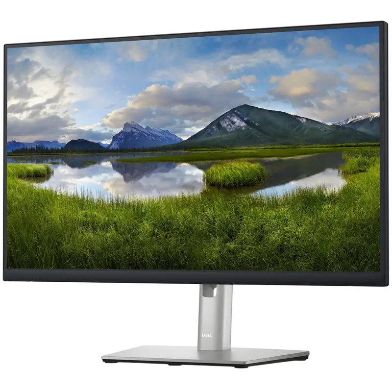Monitor DELL P2423DE