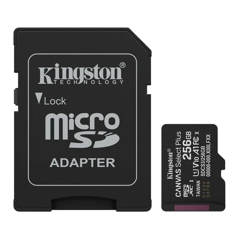 Cumpara  Carduri de memorie - Карта памяти Kingston Canvas Select Plus, 256..