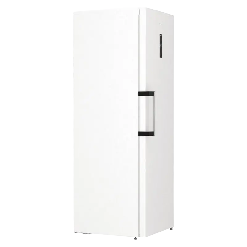 Congelator Gorenje FN619EAW6